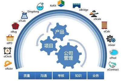 軟件開發(fā)過程中對項目管理技術(shù)的有效運用研究論文