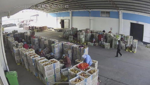 雙十一 ,徐州人是這樣過的