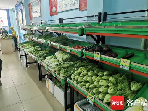 3000噸儲量確保國慶期間海口蔬菜 貨足價穩