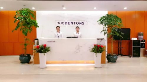 匯全國力量 筑大成之道——大成25周年境內分所篇